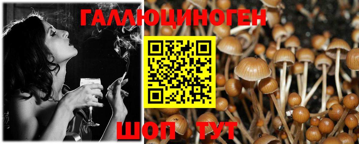 Волжский  Галлюциногенные грибы Magic Shrooms  Галлюциногенные грибы мухоморы  Вход с VPN 